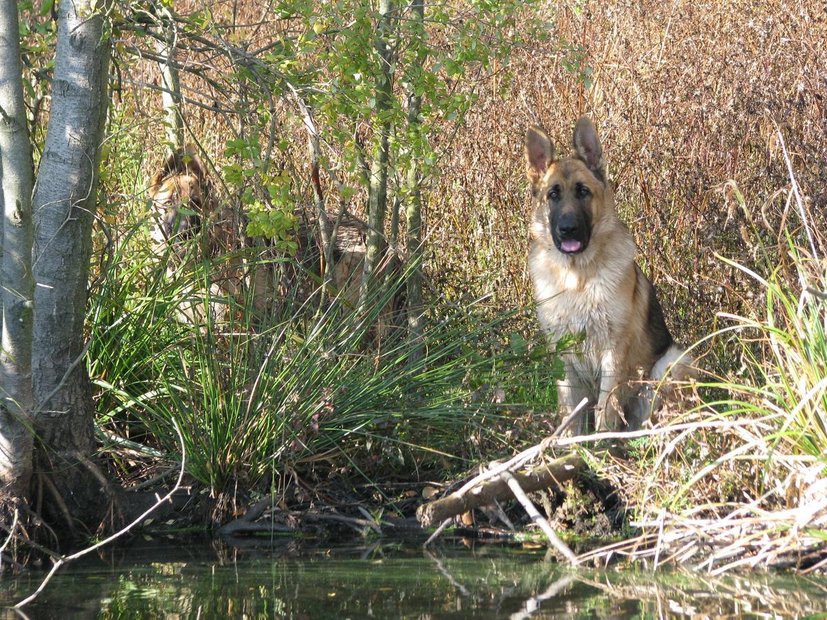 Rezydencja Nad Jeziorem Pestkownica Exteriör bild