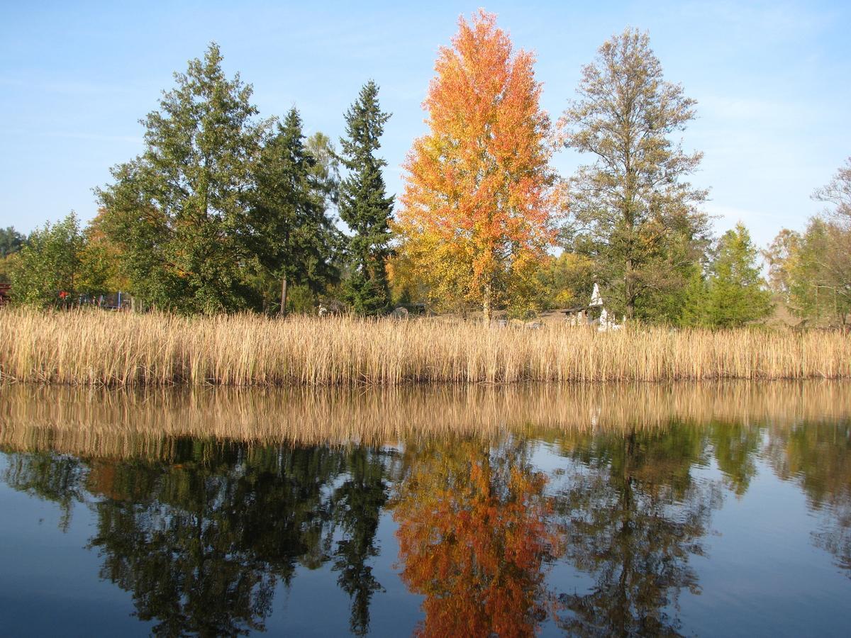 Rezydencja Nad Jeziorem Pestkownica Exteriör bild