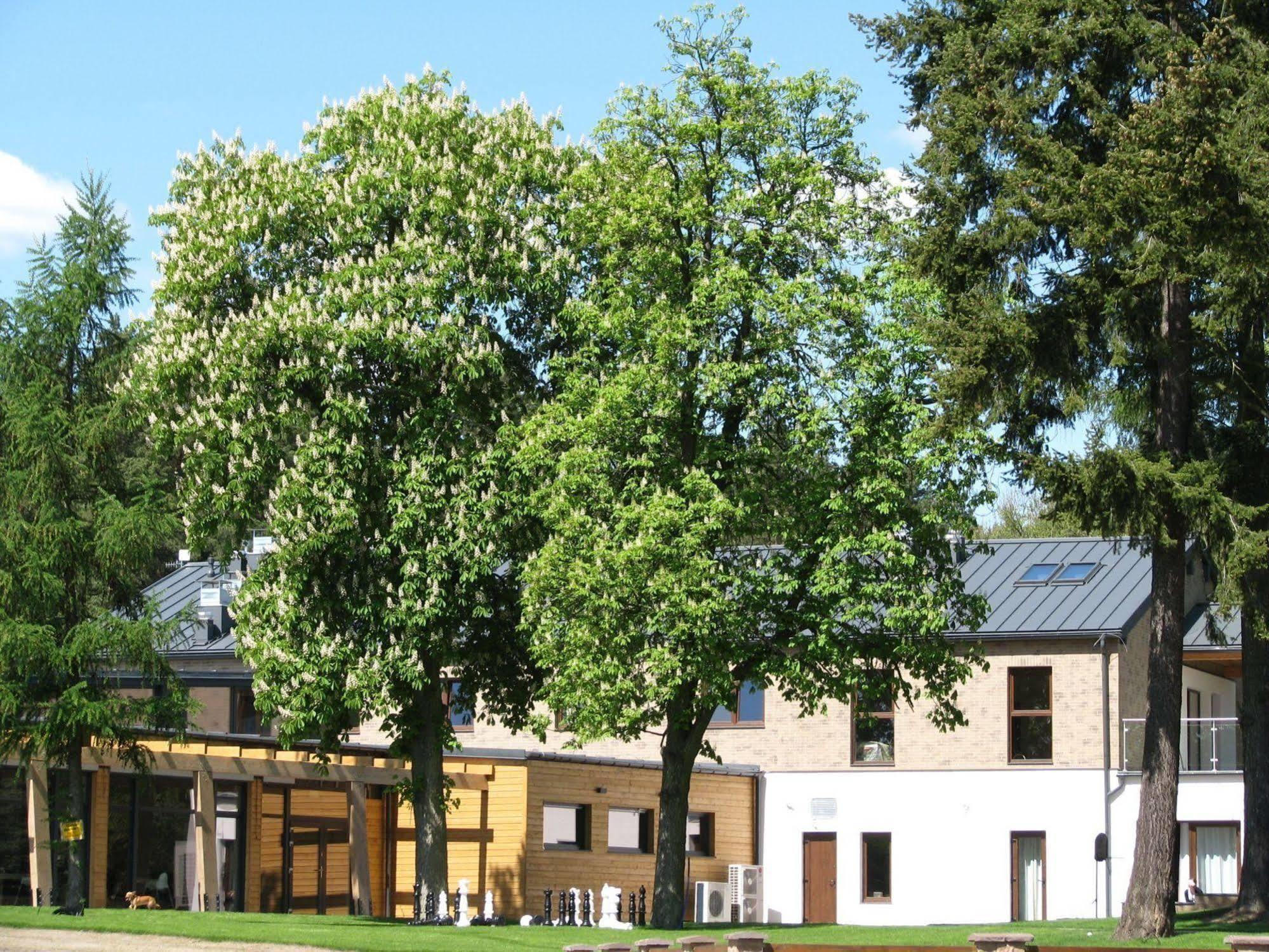 Rezydencja Nad Jeziorem Pestkownica Exteriör bild