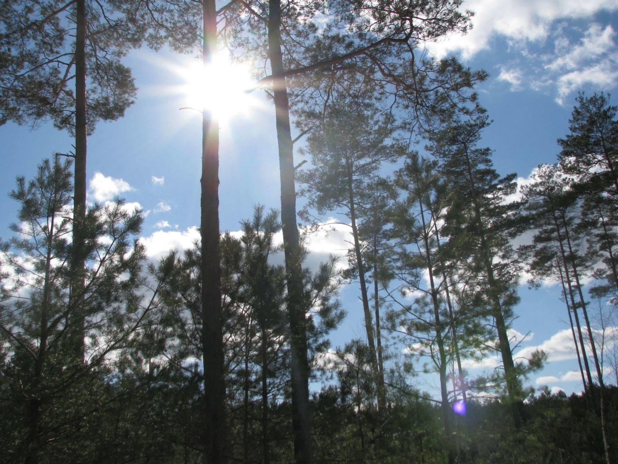 Rezydencja Nad Jeziorem Pestkownica Exteriör bild