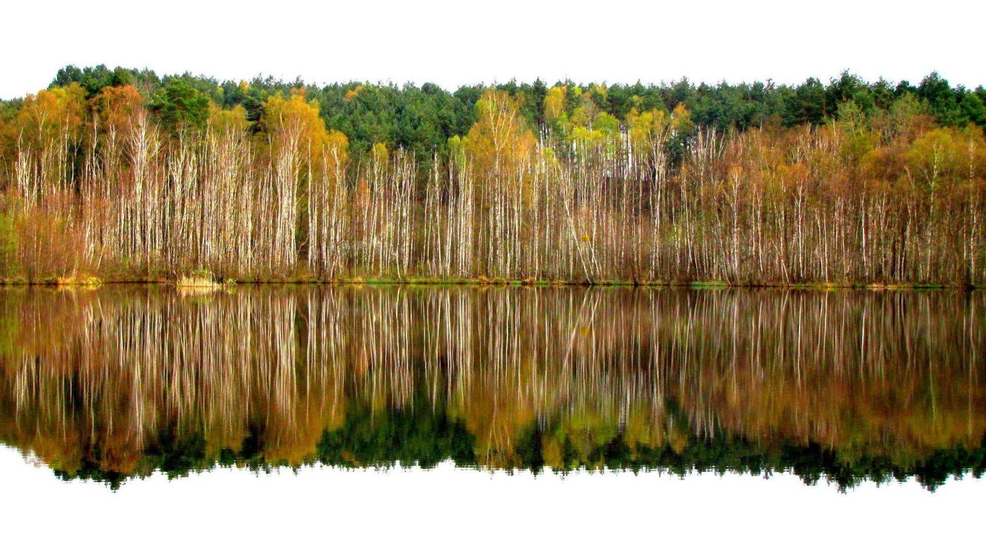 Rezydencja Nad Jeziorem Pestkownica Exteriör bild